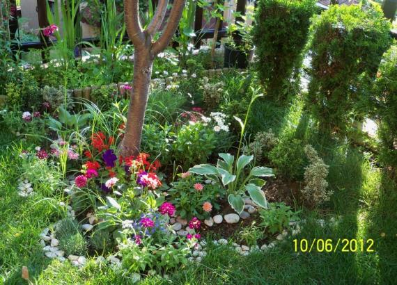 Name:  100_5417.jpg
Views: 610
Size:  72.1 KB