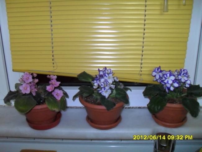 Name:  045.jpg
Views: 740
Size:  39.7 KB