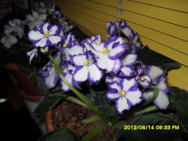 Name:  051.jpg
Views: 758
Size:  40.8 KB