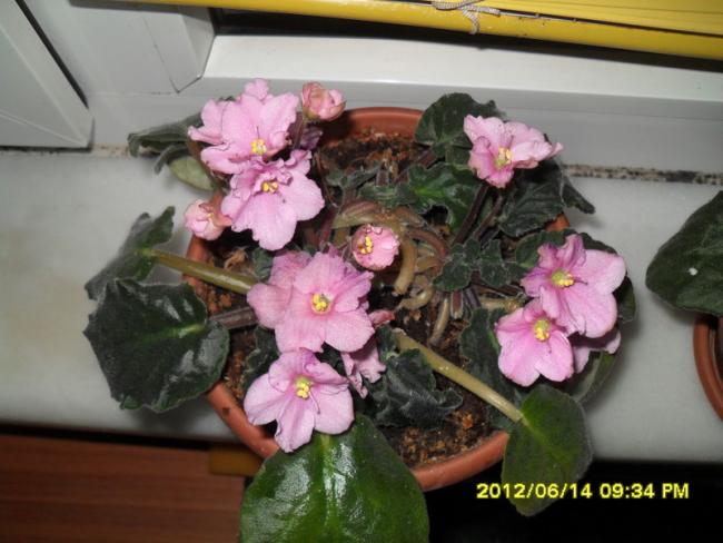 Name:  054.jpg
Views: 719
Size:  44.3 KB