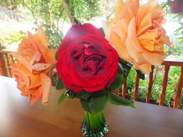 Name:  DSCF3023.jpg
Views: 434
Size:  47.5 KB