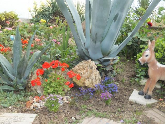 Name:  DSCF3045.jpg
Views: 384
Size:  65.3 KB