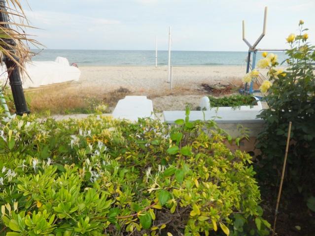 Name:  DSCF3053.jpg
Views: 420
Size:  57.2 KB