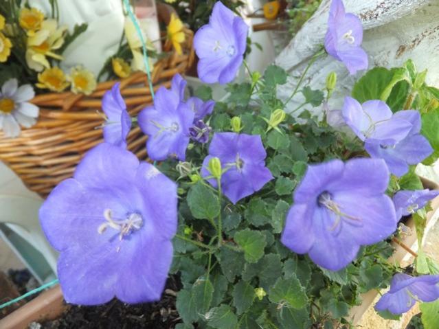 Name:  DSCF3286.jpg
Views: 346
Size:  50.8 KB