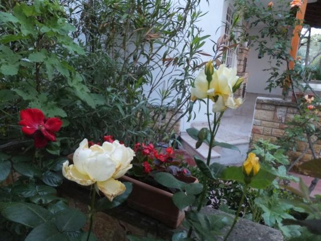 Name:  DSCF3320.jpg
Views: 428
Size:  59.0 KB