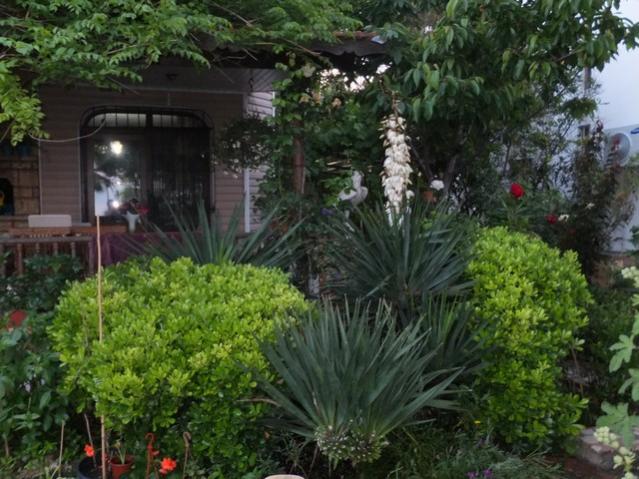Name:  DSCF3328.jpg
Views: 446
Size:  60.8 KB