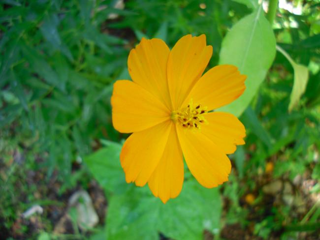 Name:  SDC14104 copy copy.jpg
Views: 671
Size:  33.6 KB