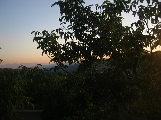 Name:  bahe1.JPG
Views: 1204
Size:  56.5 KB