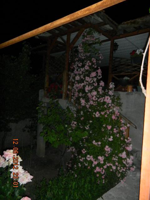 Name:  DSCN1373.jpg
Views: 846
Size:  43.3 KB
