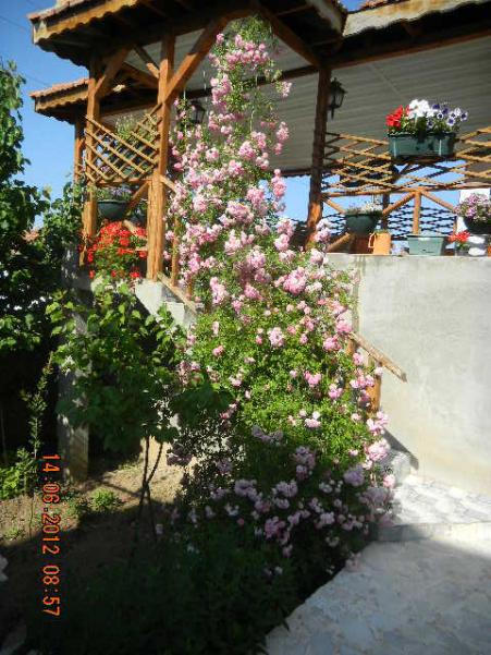 Name:  DSCN1378.jpg
Views: 821
Size:  67.2 KB