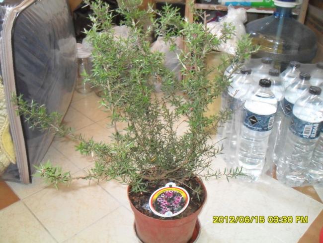 Name:  014.jpg
Views: 1166
Size:  57.4 KB