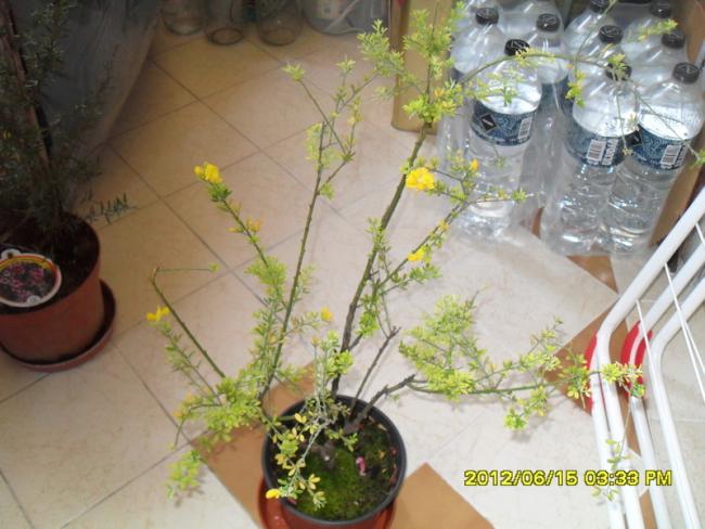 Name:  023.jpg
Views: 917
Size:  48.7 KB