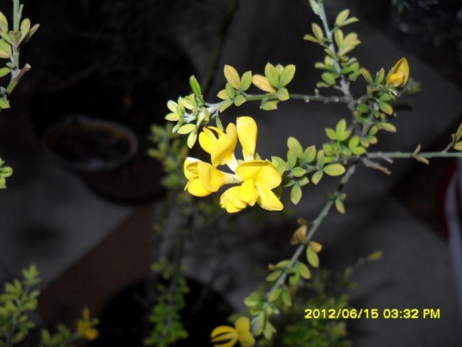 Name:  019.jpg
Views: 931
Size:  31.3 KB