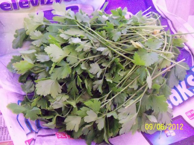 Name:  100_5169.jpg
Views: 533
Size:  61.3 KB