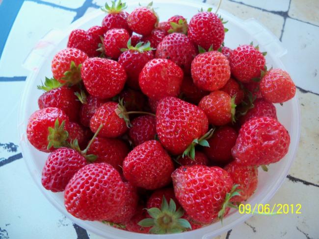 Name:  100_5076.jpg
Views: 521
Size:  56.2 KB