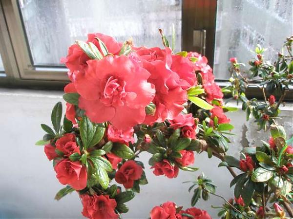 Name:  fotoraf mak aktarlan 037.jpg
Views: 2327
Size:  51.6 KB
