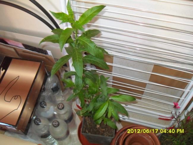 Name:  008.jpg
Views: 665
Size:  50.9 KB