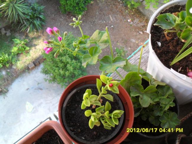 Name:  014.jpg
Views: 883
Size:  57.3 KB