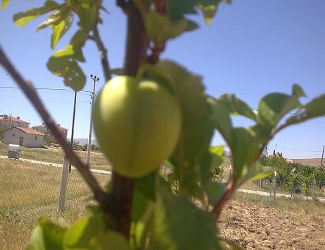 Name:  Grnt0754.jpg
Views: 428
Size:  31.0 KB