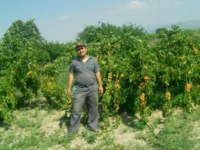 Name:  IMAG0067 [640x480] (3).jpg
Views: 991
Size:  63.7 KB