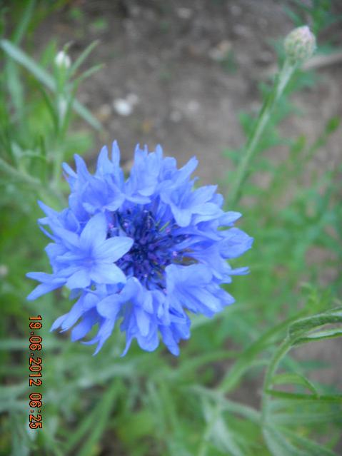 Name:  DSCN1576.jpg
Views: 781
Size:  32.7 KB