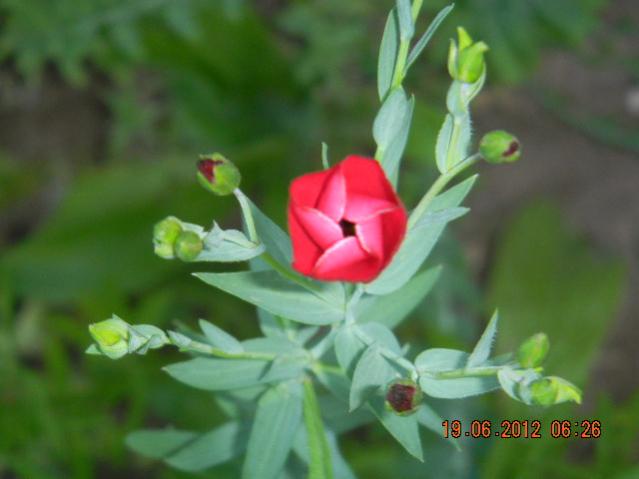 Name:  DSCN1580.jpg
Views: 1015
Size:  28.8 KB