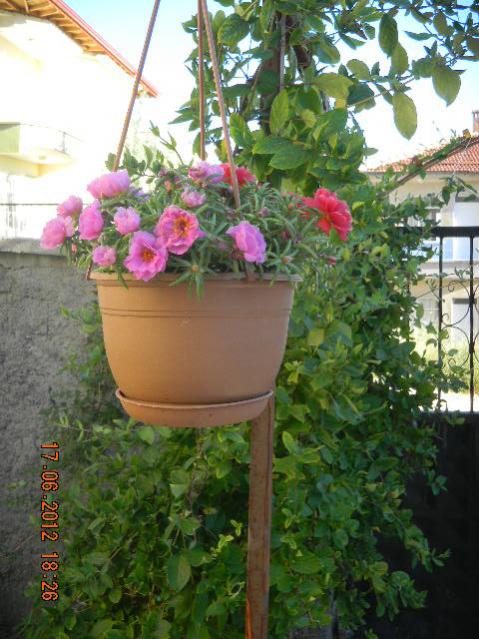 Name:  DSCN1469.jpg
Views: 820
Size:  59.2 KB