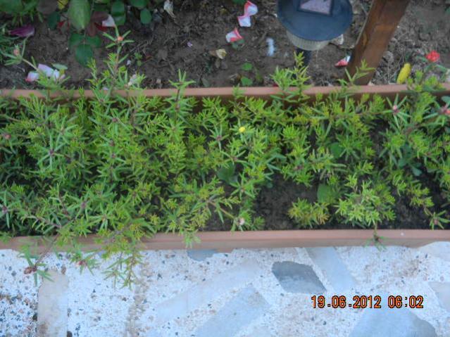 Name:  DSCN1501.jpg
Views: 854
Size:  63.1 KB