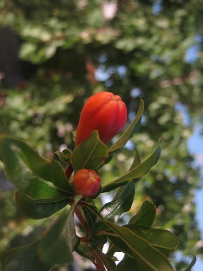 Name:  nar.JPG
Views: 841
Size:  38.1 KB