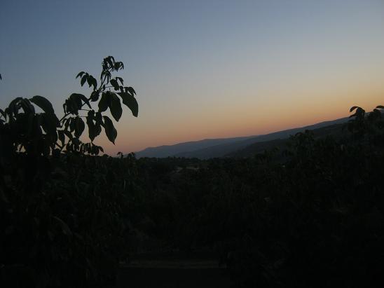 Name:  gnbatm1.JPG
Views: 1042
Size:  29.4 KB