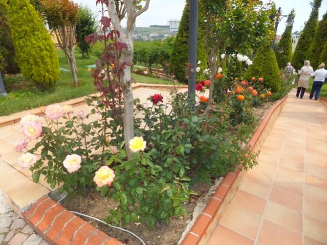 Name:  DSCF3250.jpg
Views: 504
Size:  62.9 KB