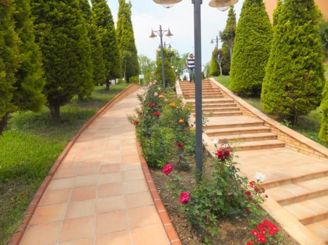 Name:  DSCF3255.jpg
Views: 599
Size:  56.3 KB