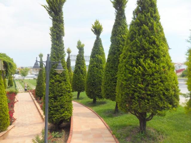 Name:  DSCF3256.jpg
Views: 1047
Size:  49.8 KB