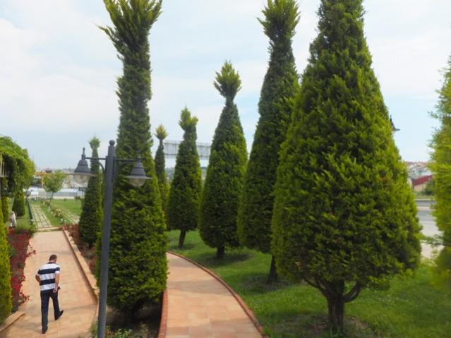 Name:  DSCF3257.jpg
Views: 637
Size:  46.5 KB