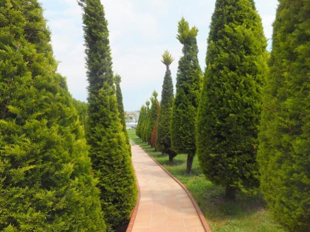 Name:  DSCF3258.jpg
Views: 687
Size:  58.4 KB
