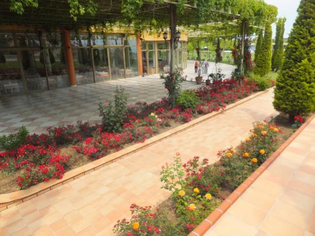 Name:  DSCF3259.jpg
Views: 592
Size:  56.0 KB