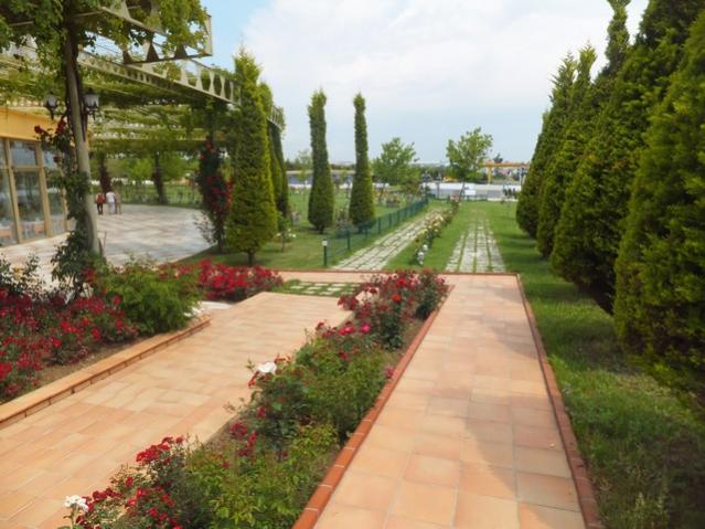 Name:  DSCF3261.jpg
Views: 647
Size:  53.1 KB