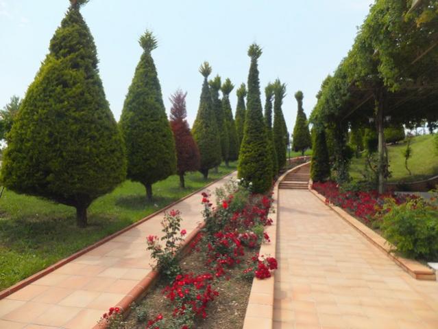 Name:  DSCF3263.jpg
Views: 653
Size:  46.1 KB