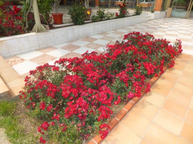 Name:  DSCF3264.jpg
Views: 664
Size:  60.2 KB