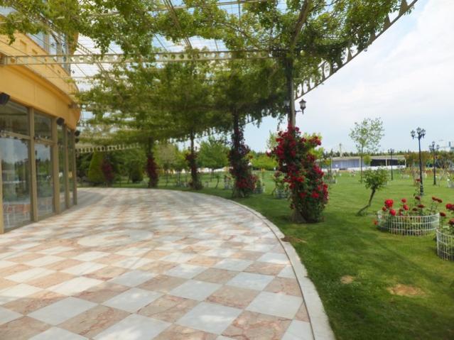 Name:  DSCF3268.jpg
Views: 598
Size:  54.8 KB
