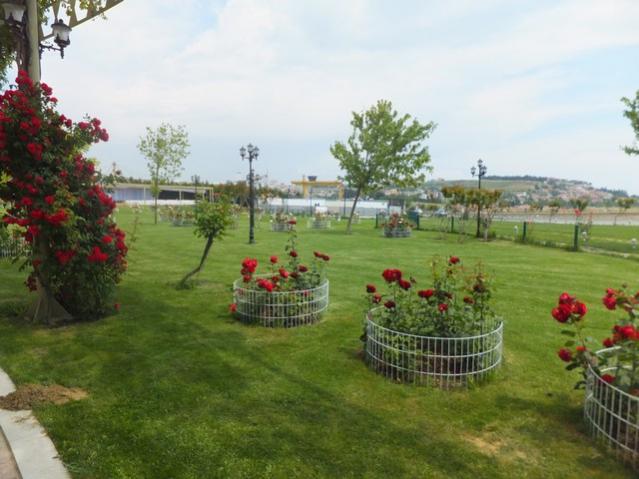 Name:  DSCF3269.jpg
Views: 749
Size:  45.0 KB