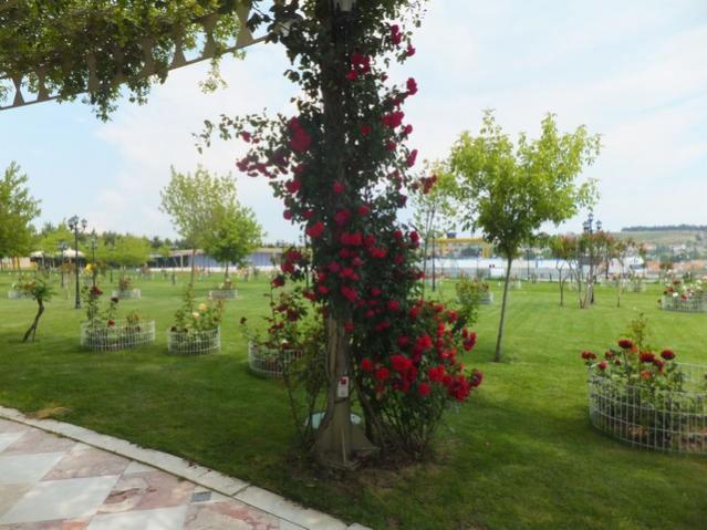 Name:  DSCF3271.jpg
Views: 623
Size:  52.3 KB