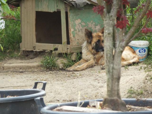 Name:  DSCF2932.jpg
Views: 630
Size:  50.7 KB