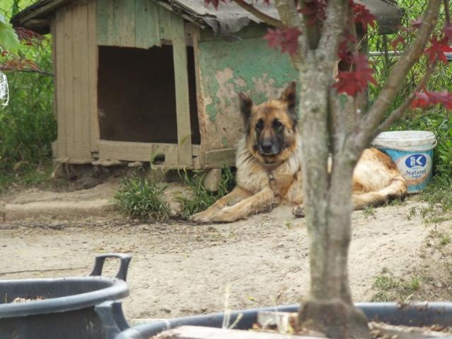 Name:  DSCF2933.jpg
Views: 617
Size:  52.2 KB