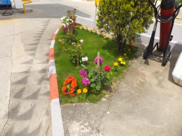 Name:  DSCF2870.jpg
Views: 770
Size:  49.0 KB