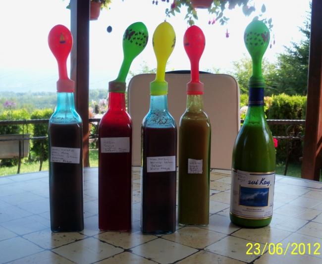 Name:  100_6788.jpg
Views: 482
Size:  46.2 KB
