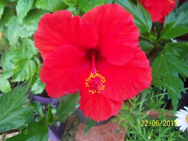 Name:  100_6532.jpg
Views: 486
Size:  43.4 KB