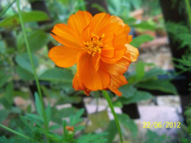 Name:  100_6472.jpg
Views: 514
Size:  34.0 KB