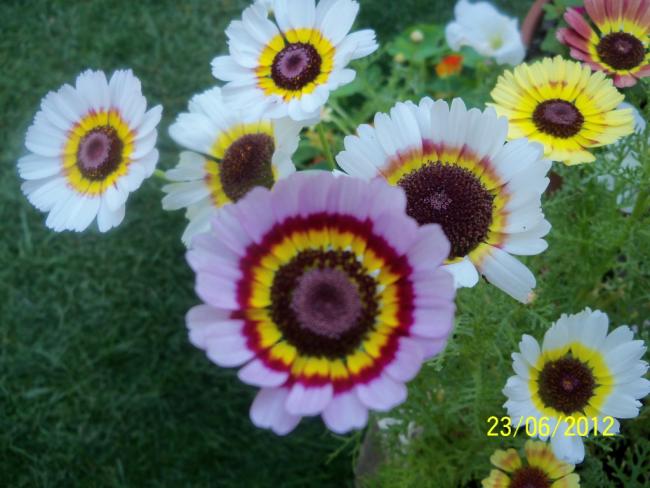 Name:  100_6799.jpg
Views: 646
Size:  46.8 KB