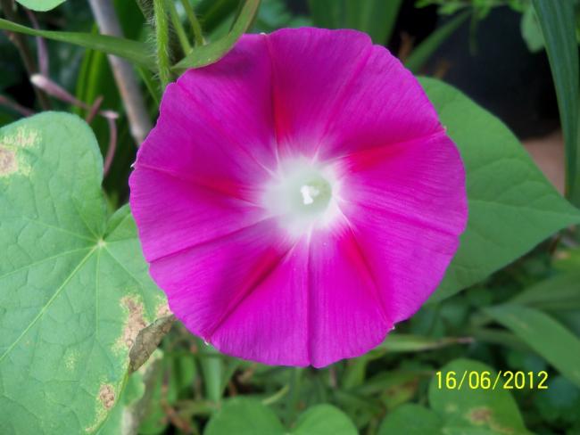 Name:  100_5491.jpg
Views: 722
Size:  35.5 KB